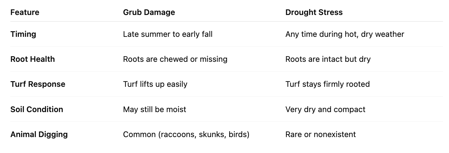 Grub Damage vs. Drought Stress table