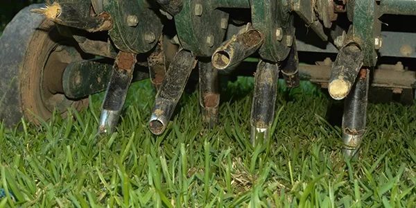 an lawn aerator in action