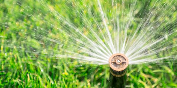 close up of a sprinkler head